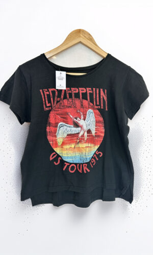 REMERA ROCK (M)