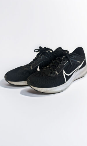ZAPATILLAS PEGASUS NIKE (41)